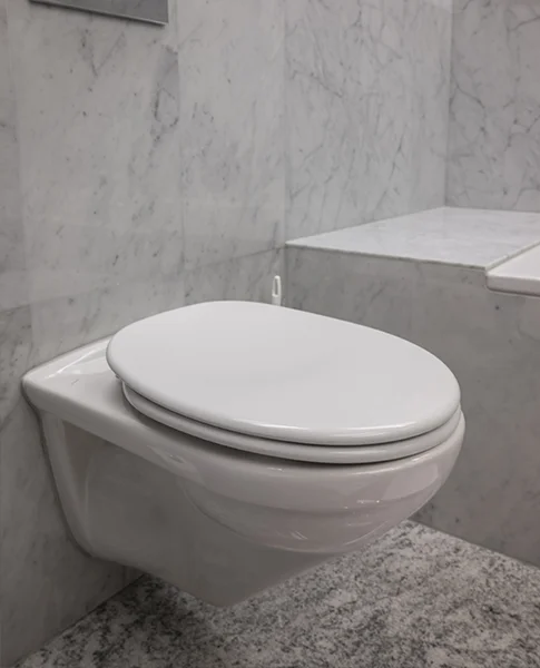 Montare și desfundare toalete